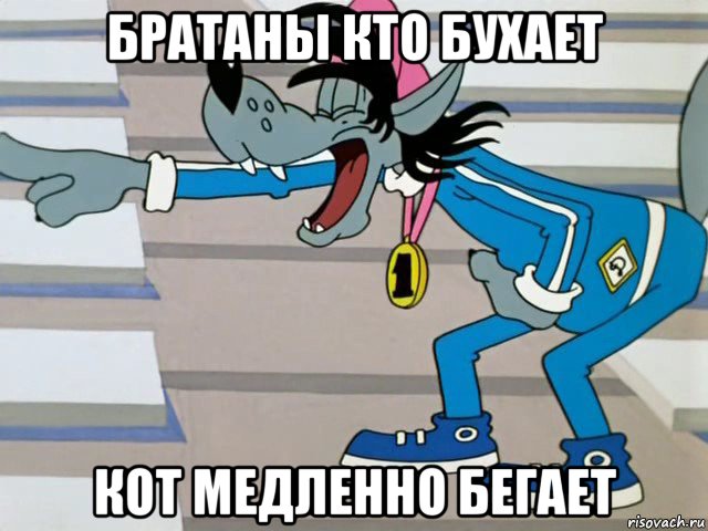 братаны кто бухает кот медленно бегает, Мем  ты лох