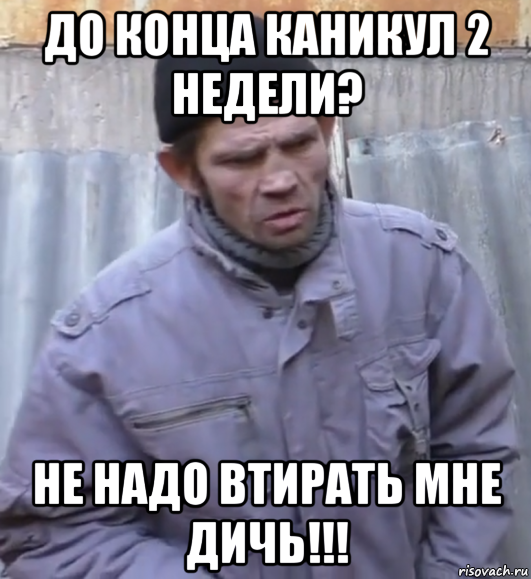 до конца каникул 2 недели? не надо втирать мне дичь!!!, Мем  Ты втираешь мне какую то дичь