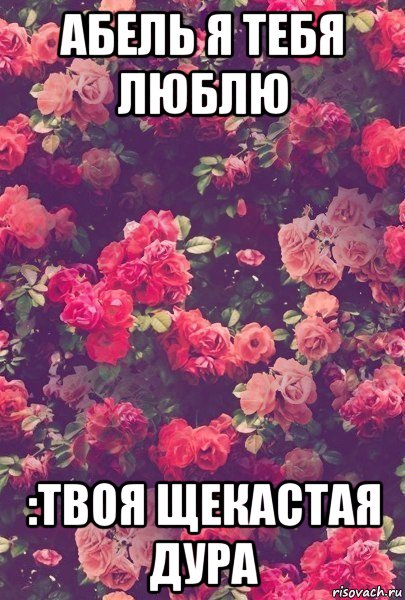 абель я тебя люблю :твоя щекастая дура