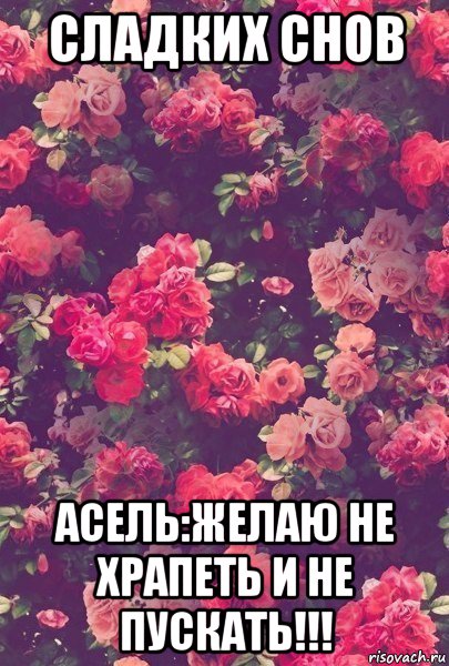 сладких снов асель:желаю не храпеть и не пускать!!!