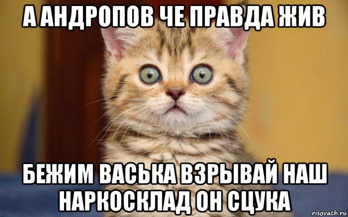 а андропов че правда жив бежим васька взрывай наш наркосклад он сцука, Мем  удивление