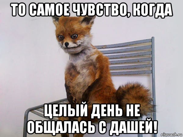 то самое чувство, когда целый день не общалась с дашей!
