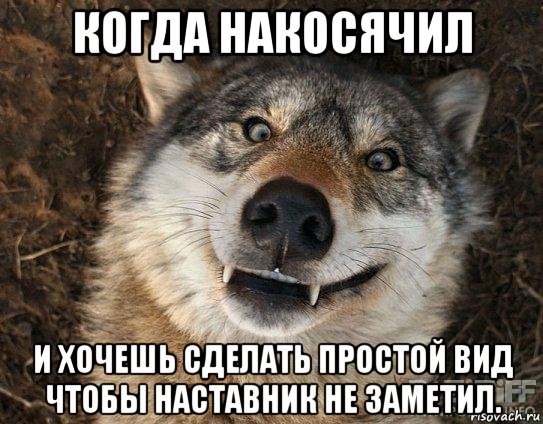 когда накосячил и хочешь сделать простой вид чтобы наставник не заметил.