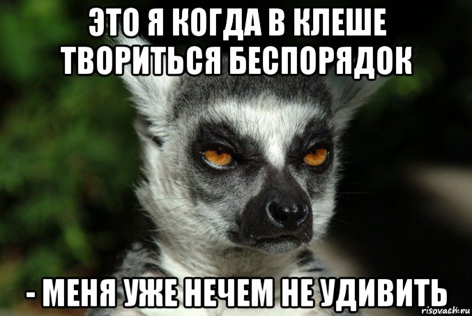 это я когда в клеше твориться беспорядок - меня уже нечем не удивить, Мем   Я збагоен