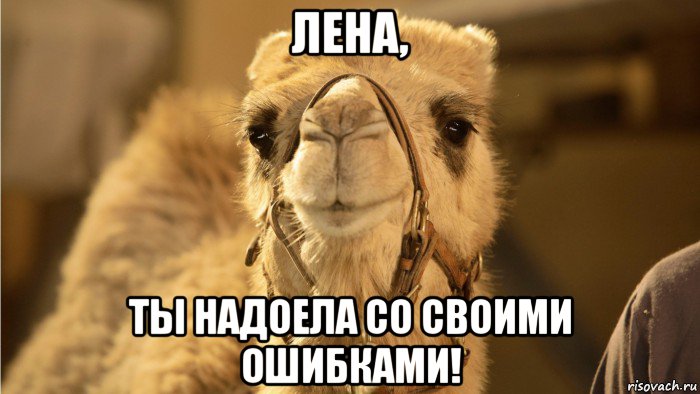 лена, ты надоела со своими ошибками!