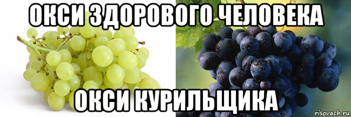 окси здорового человека окси курильщика