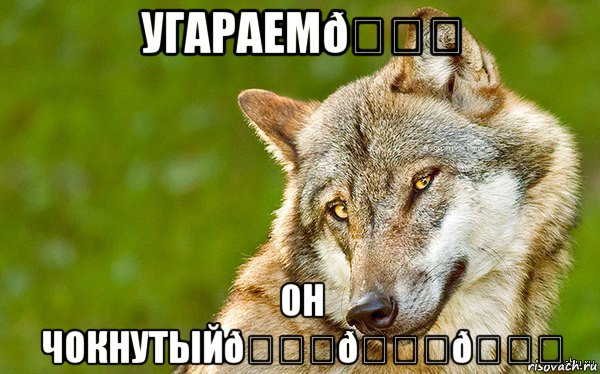 Мем   Volf