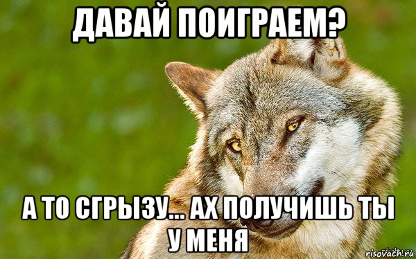 давай поиграем? а то сгрызу... ах получишь ты у меня, Мем   Volf