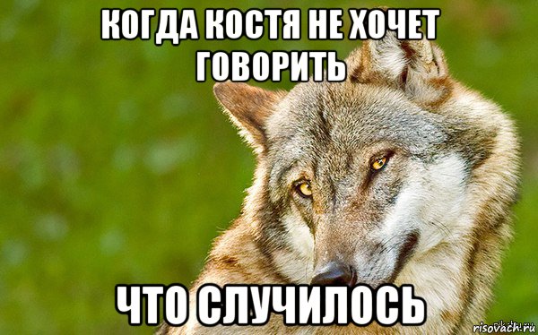 когда костя не хочет говорить что случилось, Мем   Volf