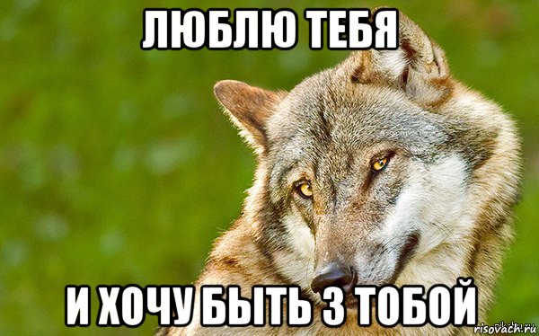 люблю тебя и хочу быть з тобой, Мем   Volf