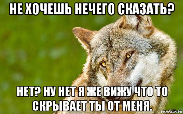 не хочешь нечего сказать? нет? ну нет я же вижу что то скрывает ты от меня., Мем   Volf