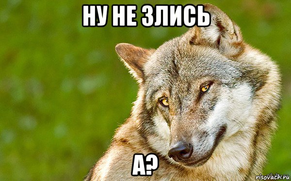 ну не злись а?, Мем   Volf