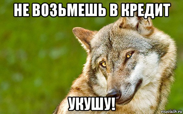 не возьмешь в кредит укушу!, Мем   Volf