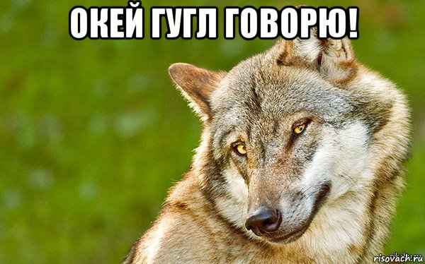 окей гугл говорю! , Мем   Volf