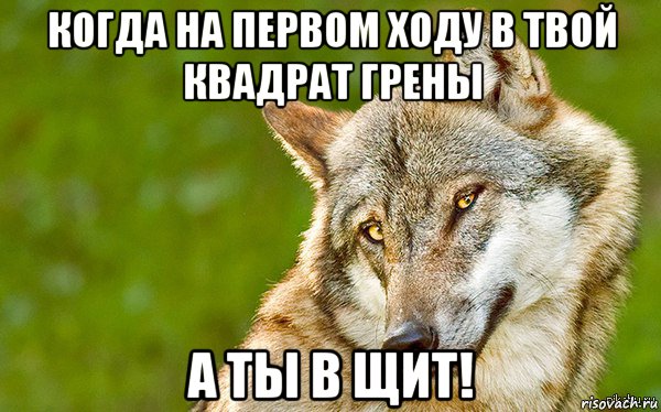 когда на первом ходу в твой квадрат грены а ты в щит!, Мем   Volf