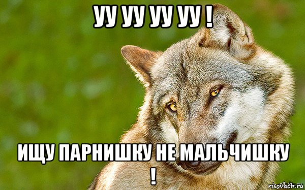 уу уу уу уу ! ищу парнишку не мальчишку !, Мем   Volf