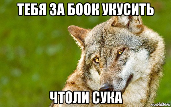 тебя за боок укусить чтоли сука, Мем   Volf