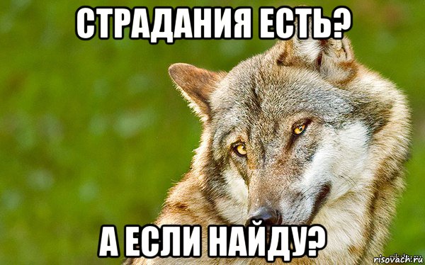 страдания есть? а если найду?, Мем   Volf