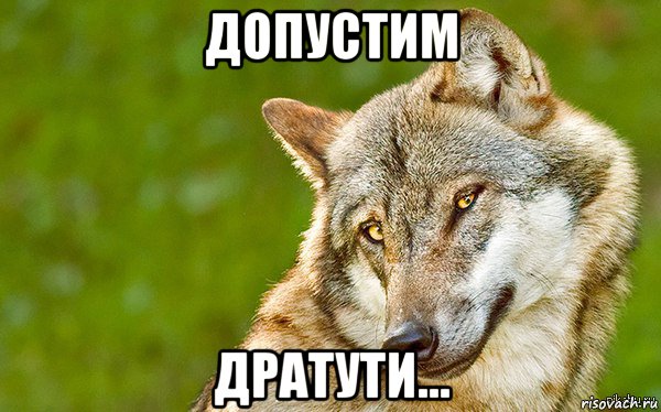 допустим дратути..., Мем   Volf