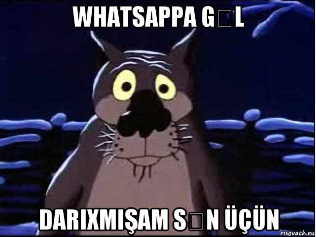 whatsappa gƏl darixmişam sƏn üçün, Мем волк