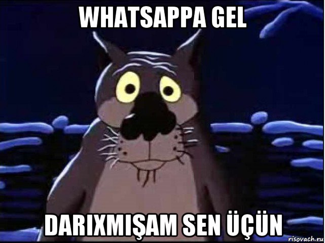 whatsappa gel darixmişam sen üçün, Мем волк