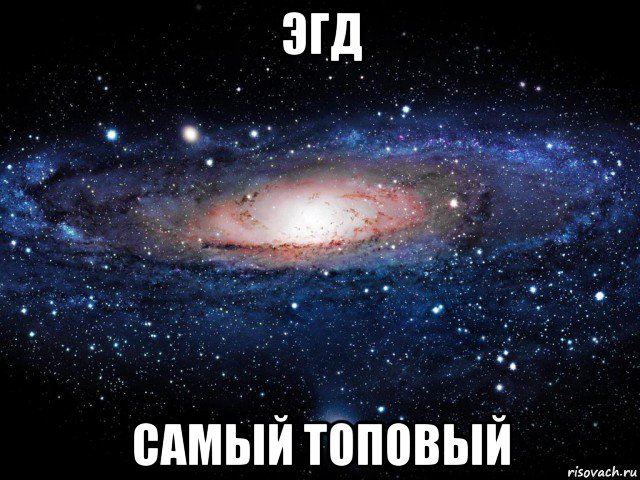 эгд самый топовый, Мем Вселенная