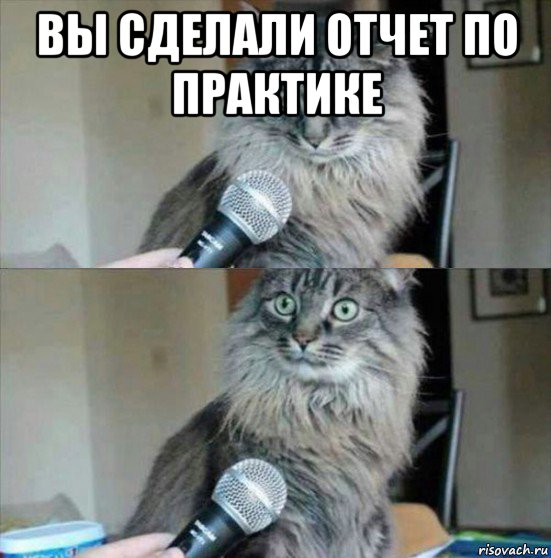 вы сделали отчет по практике 