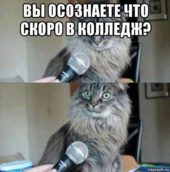 вы осознаете что скоро в колледж? 