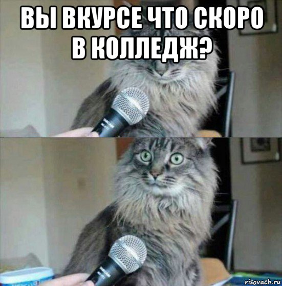 вы вкурсе что скоро в колледж? 