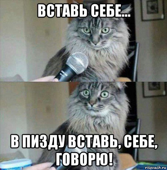 вставь себе... в пизду вставь, себе, говорю!