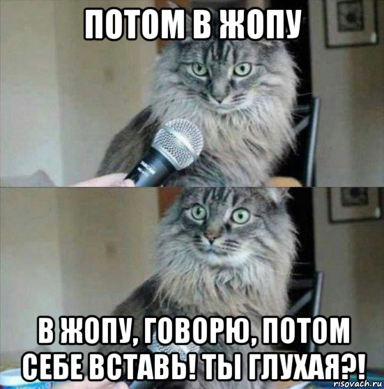 потом в жопу в жопу, говорю, потом себе вставь! ты глухая?!