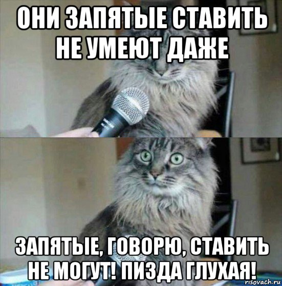 они запятые ставить не умеют даже запятые, говорю, ставить не могут! пизда глухая!