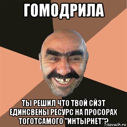 гомодрила ты решил что твой сйэт единсвены ресурс на просорах тоготсамого "интырнет"?, Мем Я твой дом труба шатал