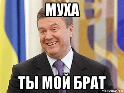 муха ты мой брат, Мем Янукович