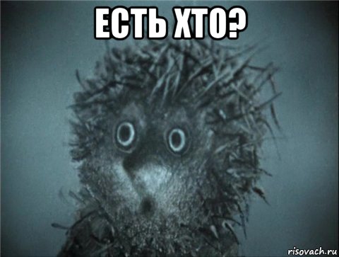 есть хто? , Мем Ежик в тумане