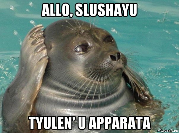 allo, slushayu tyulen' u apparata, Мем ыуаывыпы