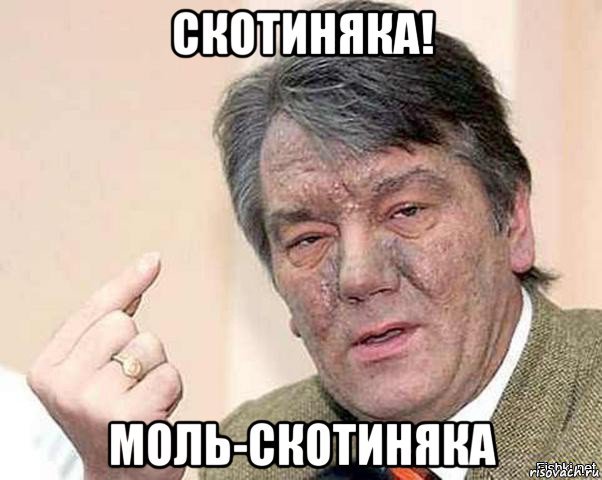 скотиняка! моль-скотиняка