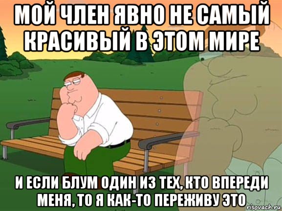 мой член явно не самый красивый в этом мире и если блум один из тех, кто впереди меня, то я как-то переживу это, Мем Задумчивый Гриффин