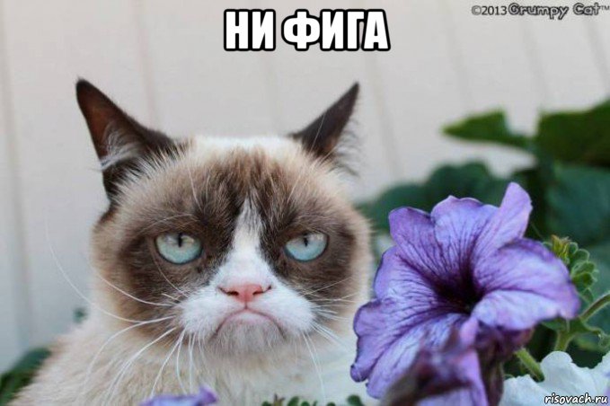 ни фига , Мем завтра на работу -урааа