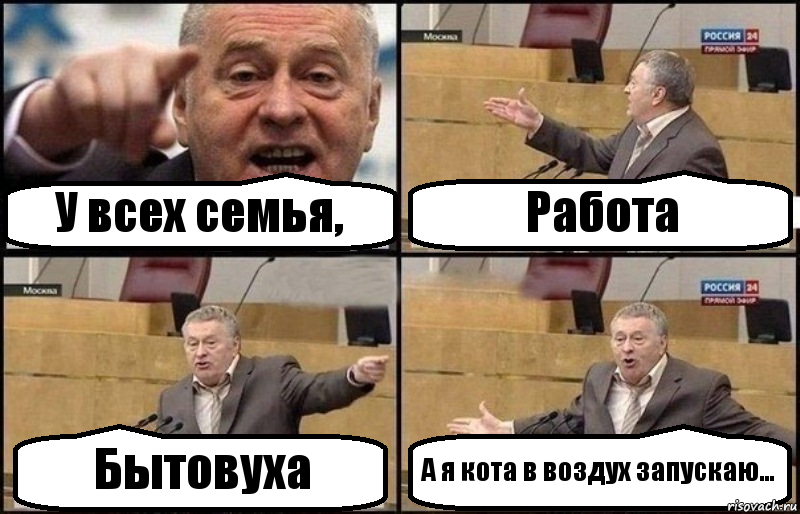 У всех семья, Работа Бытовуха А я кота в воздух запускаю..., Комикс Жириновский