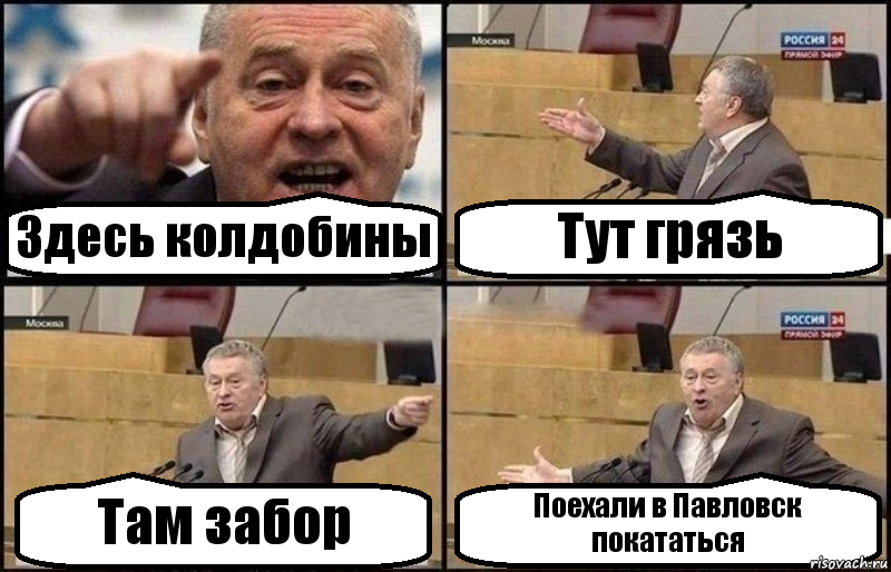 Здесь колдобины Тут грязь Там забор Поехали в Павловск покататься, Комикс Жириновский