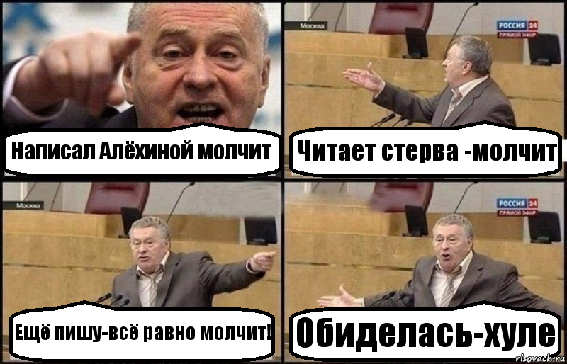 Написал Алёхиной молчит Читает стерва -молчит Ещё пишу-всё равно молчит! Обиделась-хуле, Комикс Жириновский