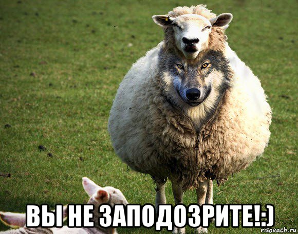  вы не заподозрите!:), Мем Злая Овца