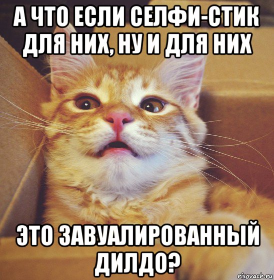 а что если селфи-стик для них, ну и для них это завуалированный дилдо?