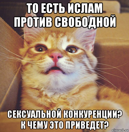 то есть ислам против свободной сексуальной конкуренции? к чему это приведет?