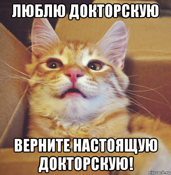люблю докторскую верните настоящую докторскую!