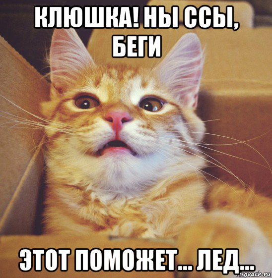 клюшка! ны ссы, беги этот поможет... лед...