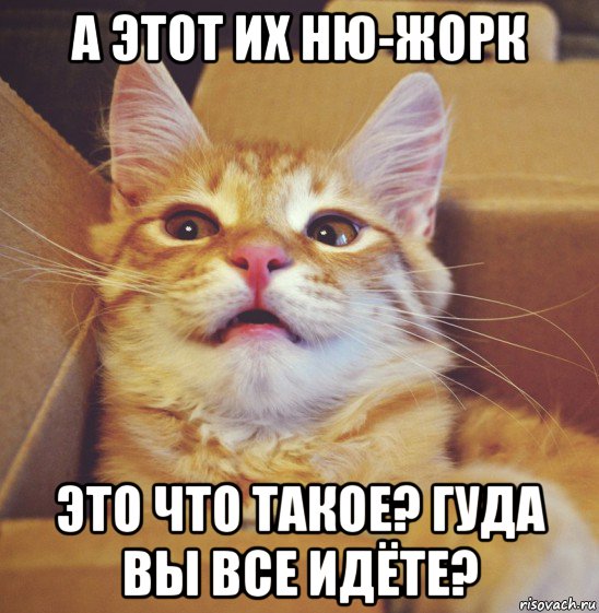 а этот их ню-жорк это что такое? гуда вы все идёте?