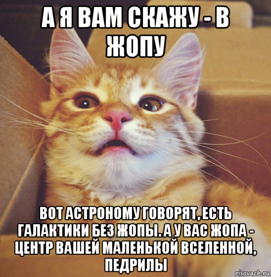 а я вам скажу - в жопу вот астроному говорят, есть галактики без жопы. а у вас жопа - центр вашей маленькой вселенной, педрилы