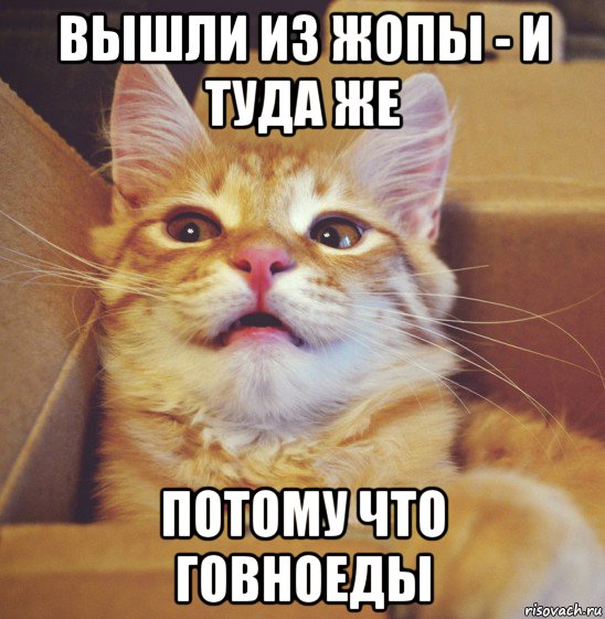вышли из жопы - и туда же потому что говноеды